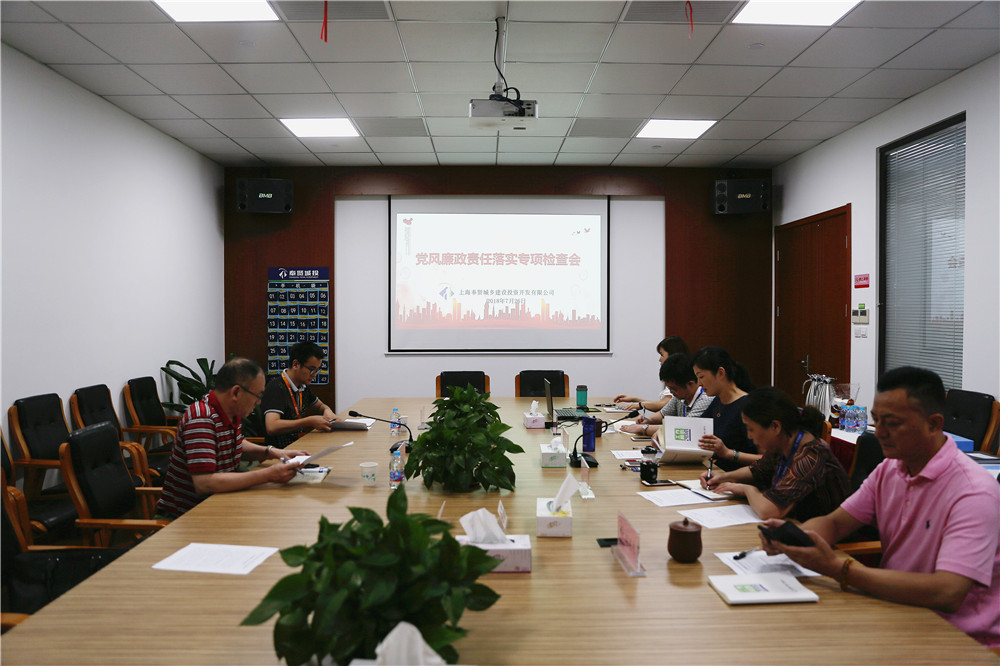 0726城投公司黨風(fēng)廉政專(zhuān)項檢查1